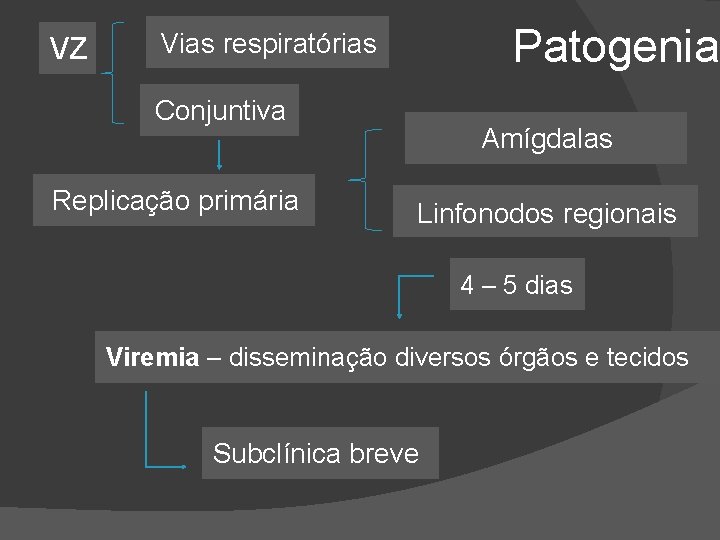 VZ Patogenia Vias respiratórias Conjuntiva Replicação primária Amígdalas Linfonodos regionais 4 – 5 dias
