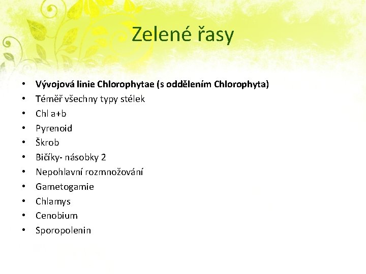 Zelené řasy • • • Vývojová linie Chlorophytae (s oddělením Chlorophyta) Téměř všechny typy