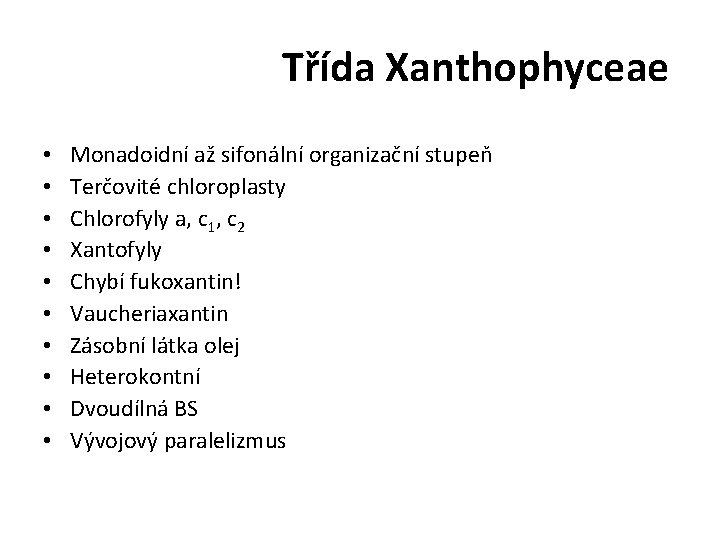 Třída Xanthophyceae • • • Monadoidní až sifonální organizační stupeň Terčovité chloroplasty Chlorofyly a,