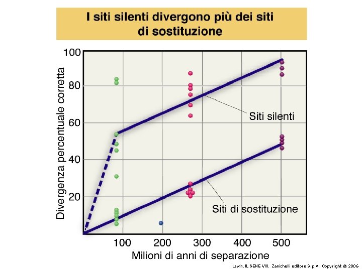 Lewin, IL GENE VIII, Zanichelli editore S. p. A. Copyright © 2006 