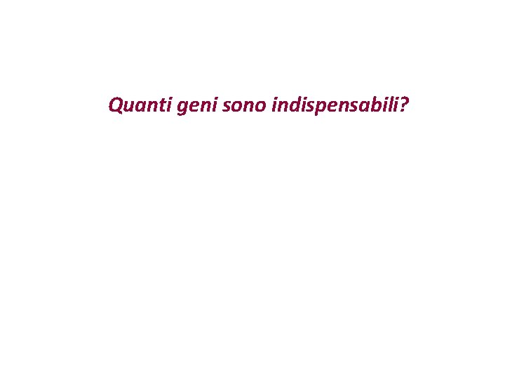 Quanti geni sono indispensabili? 