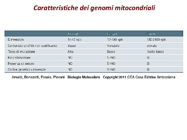 Caratteristiche dei genomi mitocondriali 