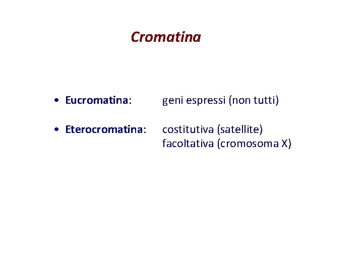 Cromatina • Eucromatina: geni espressi (non tutti) • Eterocromatina: costitutiva (satellite) facoltativa (cromosoma X)