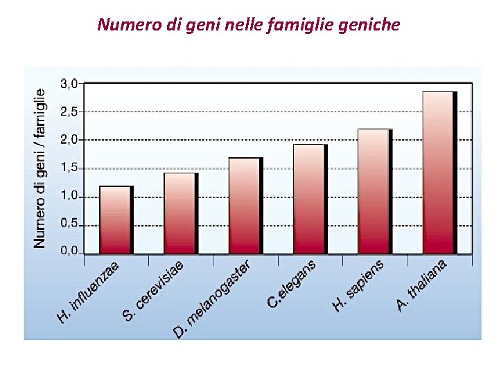 Numero di geni nelle famiglie geniche 