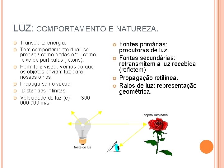 LUZ: COMPORTAMENTO E NATUREZA. Transporta energia. Tem comportamento dual: se propaga como ondas e/ou