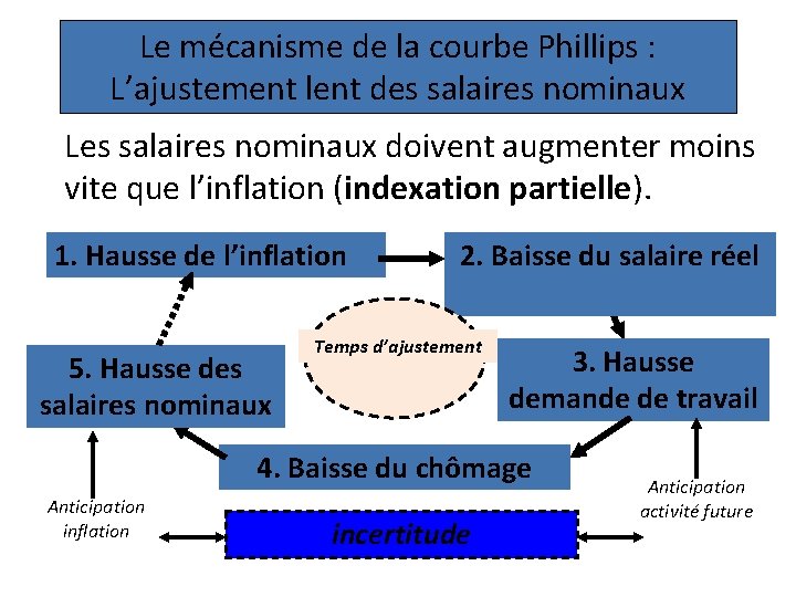 Le mécanisme de la courbe Phillips : L’ajustement lent des salaires nominaux Les salaires