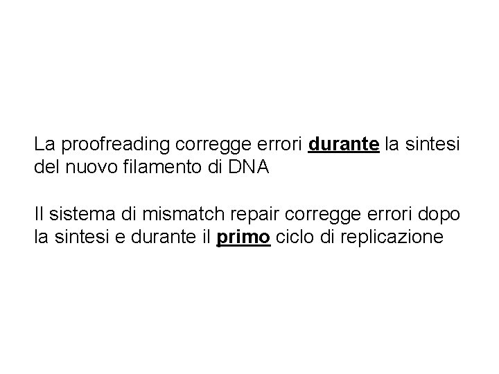 La proofreading corregge errori durante la sintesi del nuovo filamento di DNA Il sistema