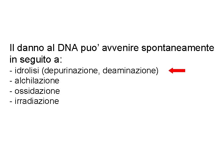 Il danno al DNA puo’ avvenire spontaneamente in seguito a: - idrolisi (depurinazione, deaminazione)