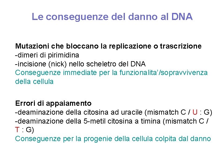 Le conseguenze del danno al DNA Mutazioni che bloccano la replicazione o trascrizione -dimeri