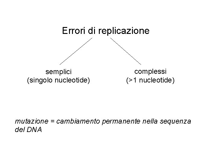 Errori di replicazione semplici (singolo nucleotide) complessi (>1 nucleotide) mutazione = cambiamento permanente nella