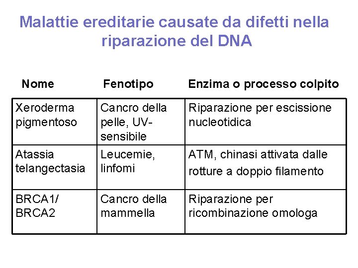 Malattie ereditarie causate da difetti nella riparazione del DNA Nome Fenotipo Enzima o processo