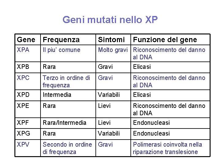 Geni mutati nello XP Gene Frequenza Sintomi Funzione del gene XPA Il piu’ comune