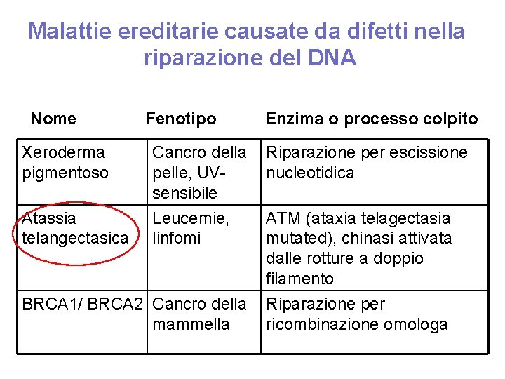 Malattie ereditarie causate da difetti nella riparazione del DNA Nome Xeroderma pigmentoso Atassia telangectasica