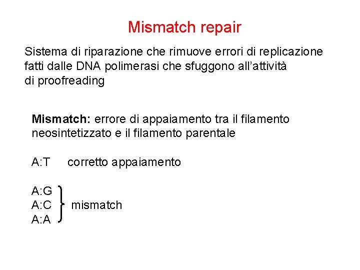 Mismatch repair Sistema di riparazione che rimuove errori di replicazione fatti dalle DNA polimerasi