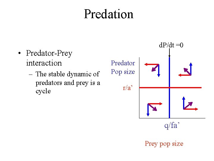 Predation • Predator-Prey interaction – The stable dynamic of predators and prey is a