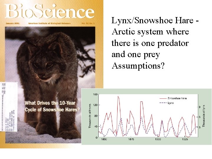 Lynx/Snowshoe Hare Arctic system where there is one predator and one prey Assumptions? 