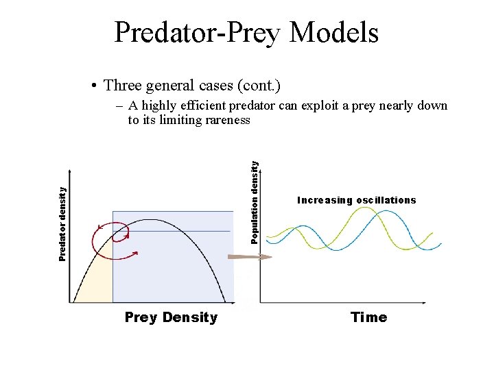 Predator-Prey Models • Three general cases (cont. ) Predator density Population density – A