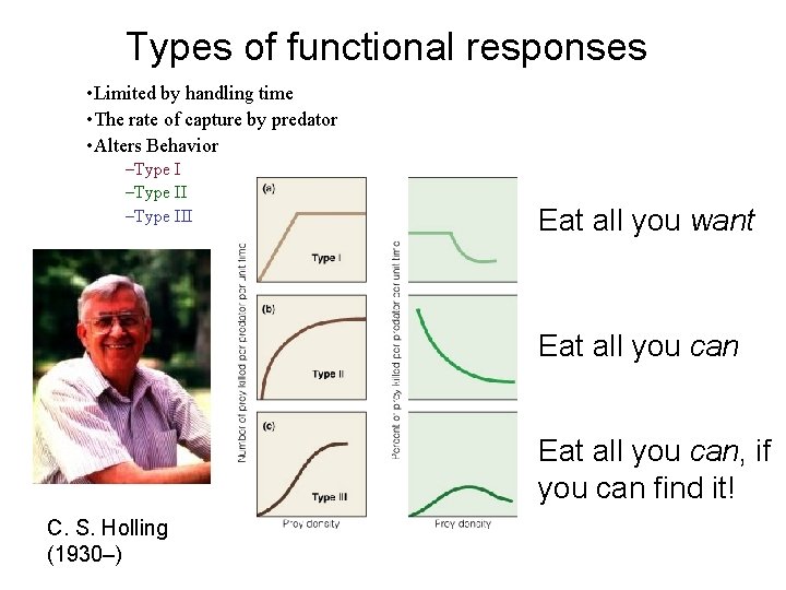 Types of functional responses • Limited by handling time • The rate of capture