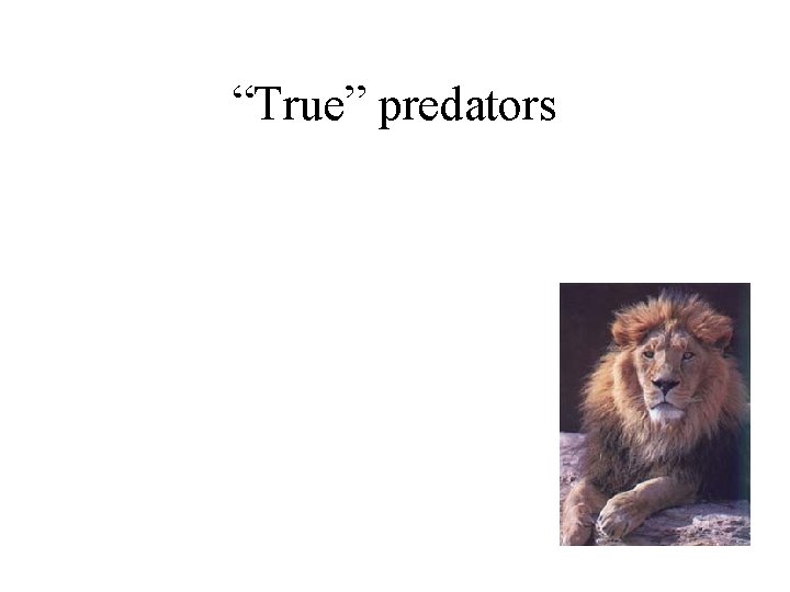 “True” predators 