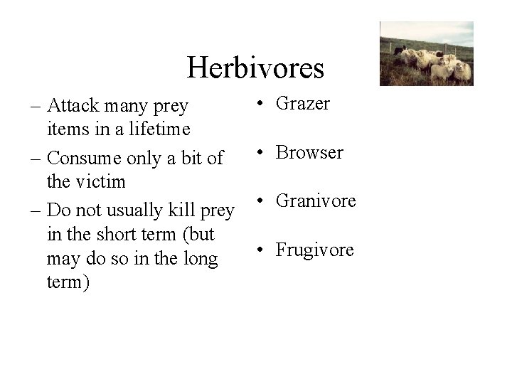 Herbivores – Attack many prey items in a lifetime – Consume only a bit