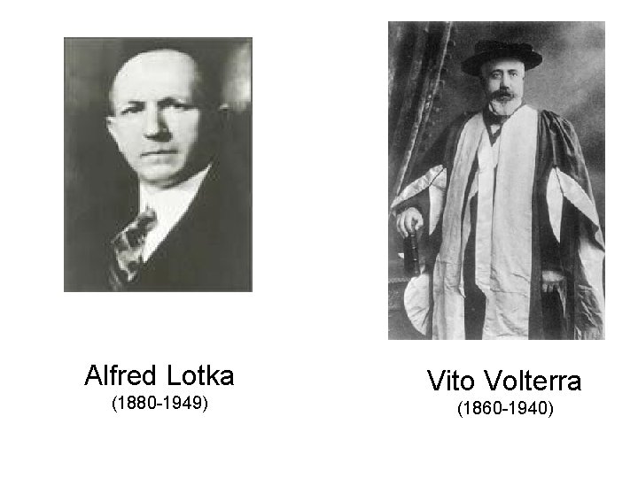 Alfred Lotka (1880 -1949) Vito Volterra (1860 -1940) 