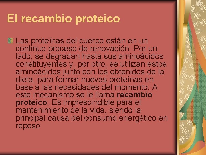 El recambio proteico Las proteínas del cuerpo están en un continuo proceso de renovación.