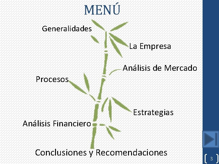 MENÚ Generalidades La Empresa Análisis de Mercado Procesos Estrategias Análisis Financiero Conclusiones y Recomendaciones
