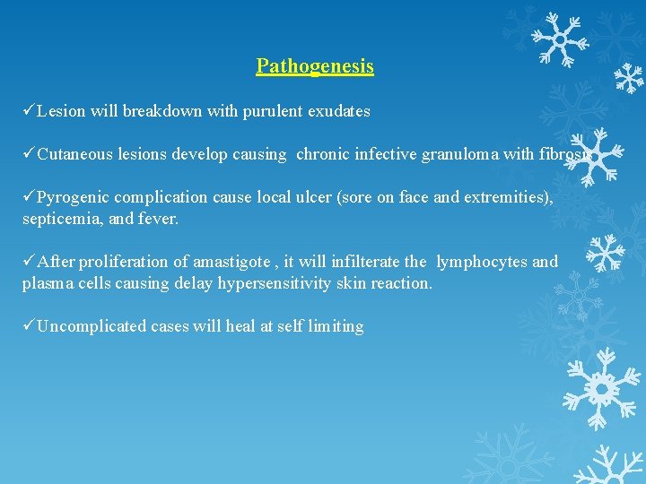 Pathogenesis üLesion will breakdown with purulent exudates üCutaneous lesions develop causing chronic infective granuloma