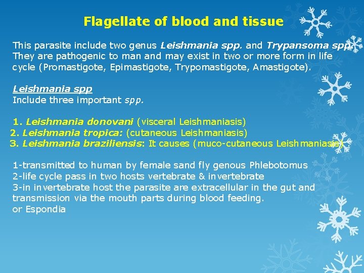 Flagellate of blood and tissue This parasite include two genus Leishmania spp. and Trypansoma