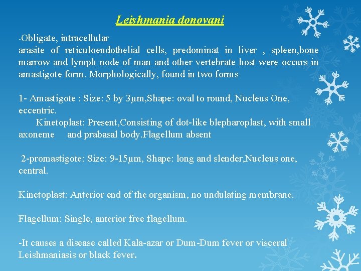 Leishmania donovani -Obligate, intracellular arasite of reticuloendothelial cells, predominat in liver , spleen, bone