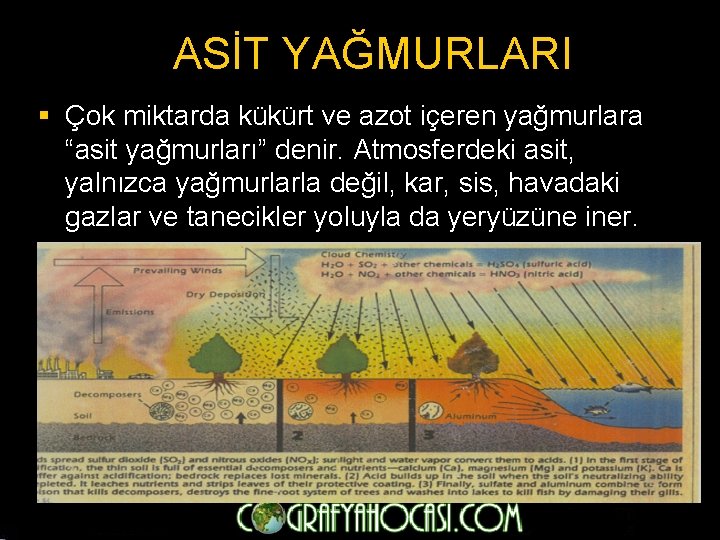 ASİT YAĞMURLARI § Çok miktarda kükürt ve azot içeren yağmurlara “asit yağmurları” denir. Atmosferdeki