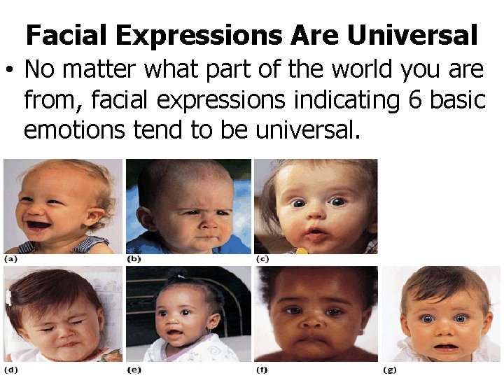 Facial Expressions Are Universal • No matter what part of the world you are