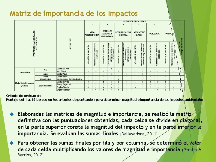 Matriz de importancia de los Impactos Criterio de evaluación Puntaje del 1 al 10
