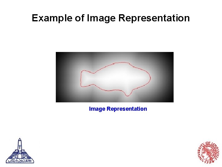 Example of Image Representation 