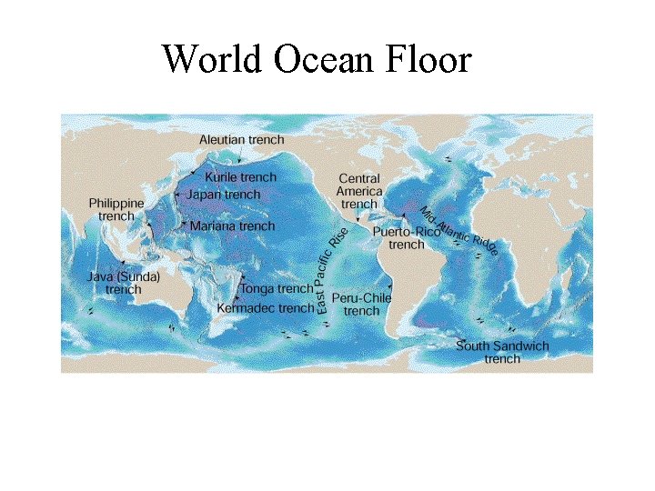 World Ocean Floor 