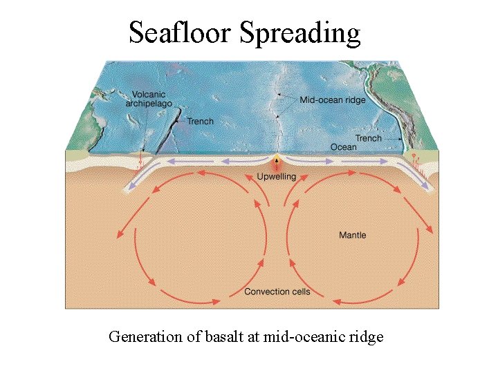 Seafloor Spreading Generation of basalt at mid-oceanic ridge 