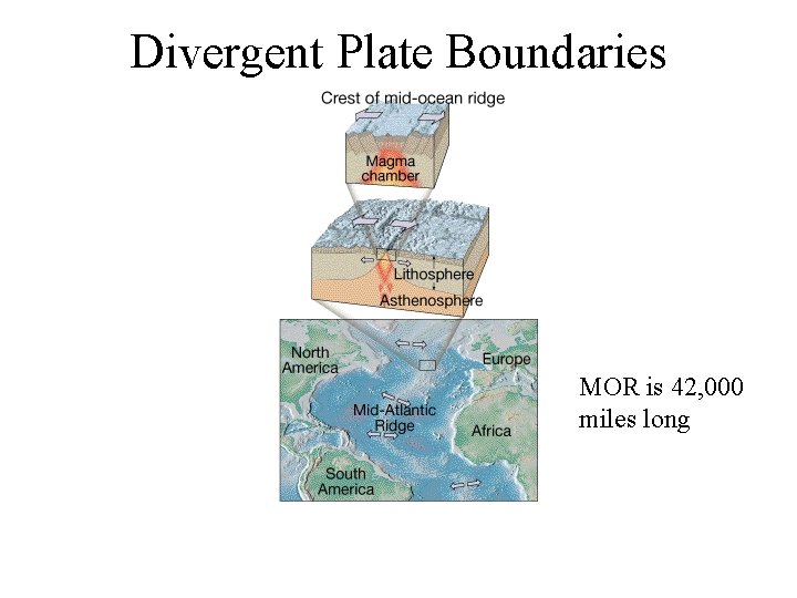 Divergent Plate Boundaries MOR is 42, 000 miles long 