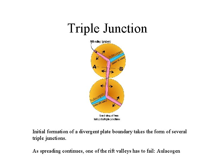 Triple Junction Initial formation of a divergent plate boundary takes the form of several