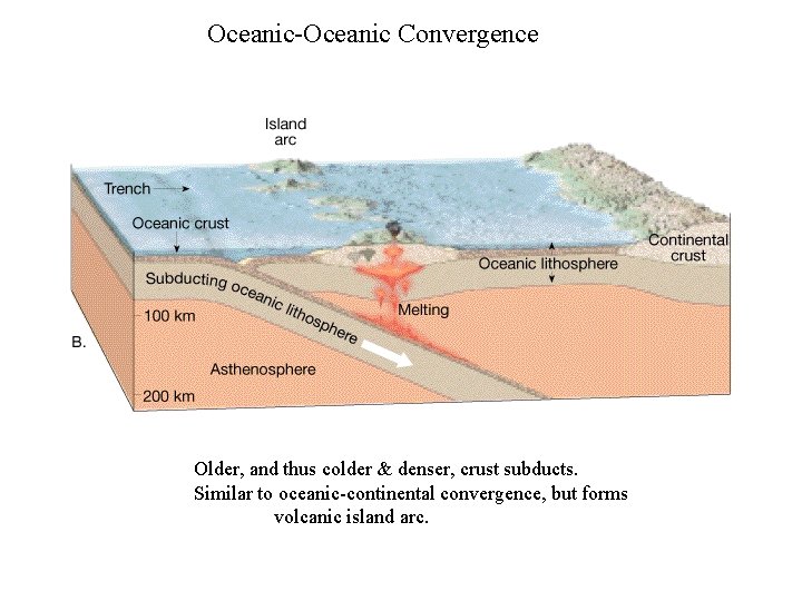 Oceanic-Oceanic Convergence Older, and thus colder & denser, crust subducts. Similar to oceanic-continental convergence,