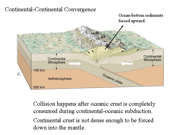 Continental-Continental Convergence Ocean-bottom sediments forced upward. Collision happens after oceanic crust is completely consumed