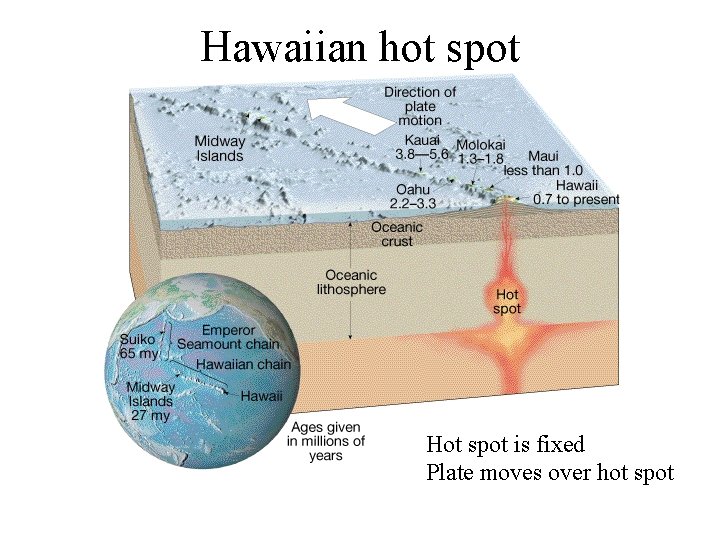 Hawaiian hot spot Hot spot is fixed Plate moves over hot spot 