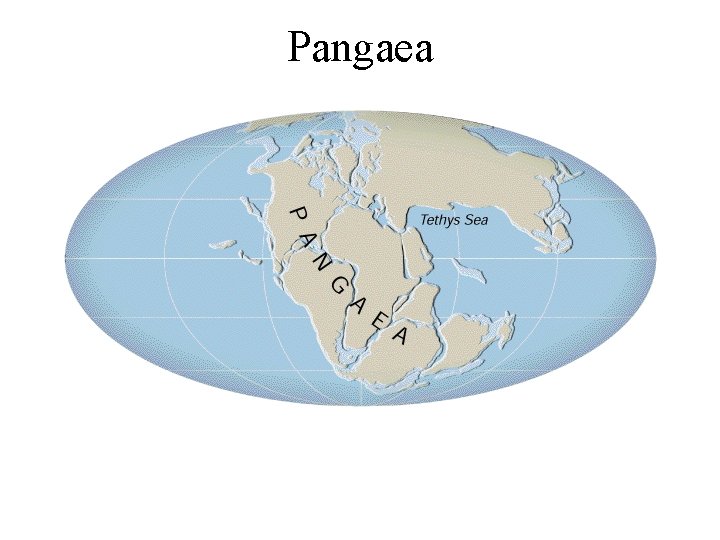 Pangaea 