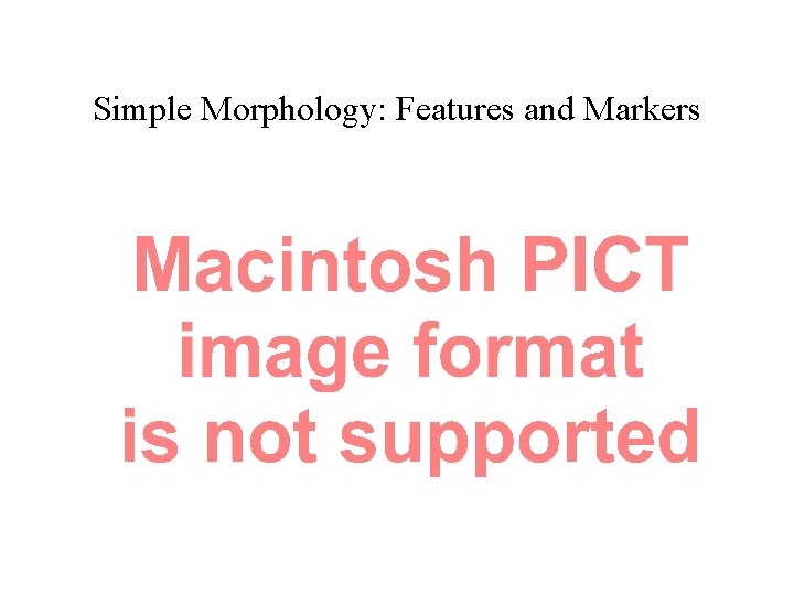 Simple Morphology: Features and Markers 