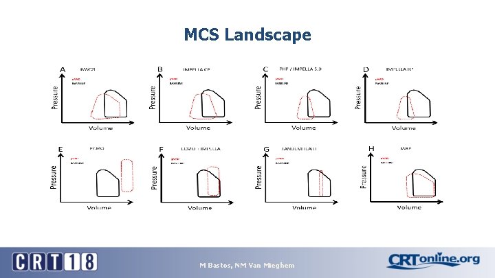 MCS Landscape M Bastos, NM Van Mieghem MCS Landscape M Bastos, NM Van Mieghem