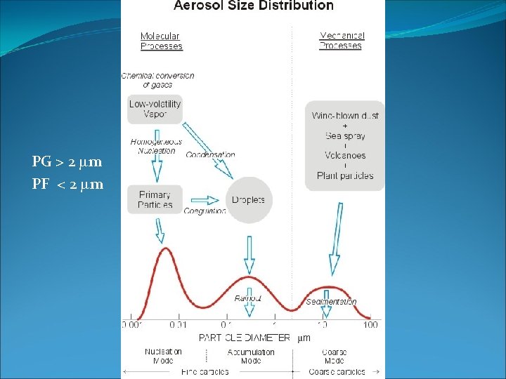 PG > 2 mm PF < 2 mm 