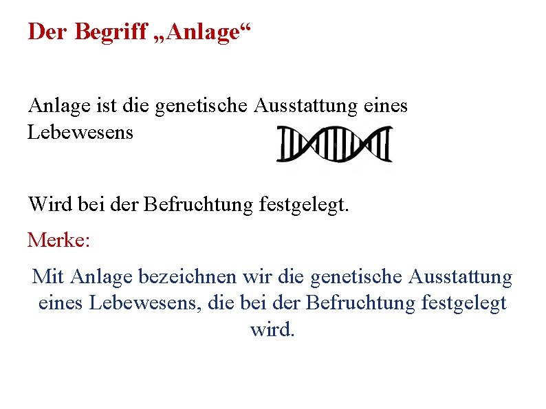 Der Begriff „Anlage“ Anlage ist die genetische Ausstattung eines Lebewesens Wird bei der Befruchtung