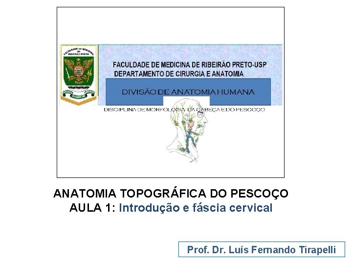ANATOMIA TOPOGRÁFICA DO PESCOÇO AULA 1: Introdução e fáscia cervical Prof. Dr. Luís Fernando