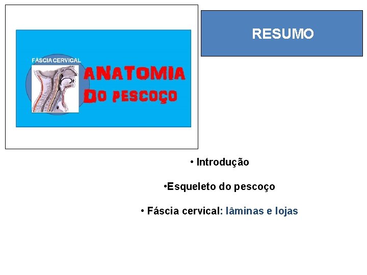RESUMO • Introdução • Esqueleto do pescoço • Fáscia cervical: lâminas e lojas 