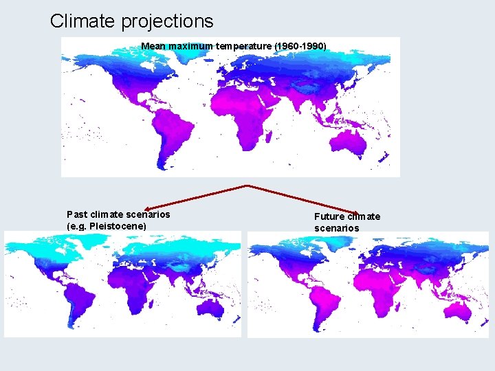 Climate projections Mean maximum temperature (1960 -1990) Past climate scenarios (e. g. Pleistocene) Future