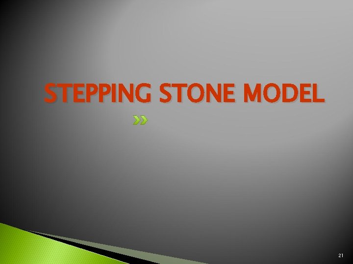 STEPPING STONE MODEL 21 STEPPING STONE MODEL 21